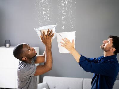 About Black Mold Removal Graysville - black mold removal experts in Graysville